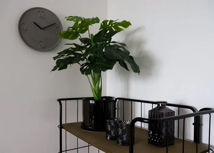 Sea La Vie Апартаменты Эгмонд-ан-Зее